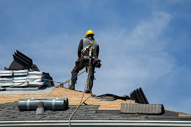 Professional Roof Replacement technician working in Saint Donatus, IA